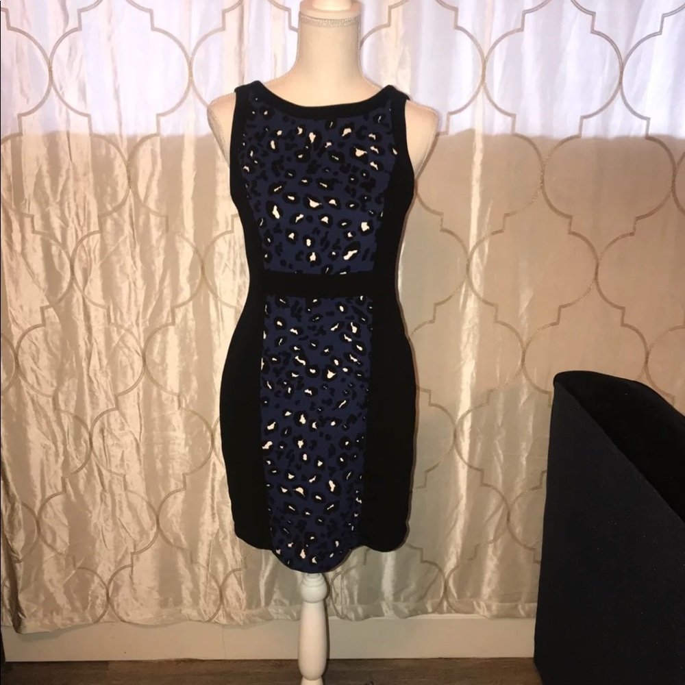 BRWT Cheetah Print Dress